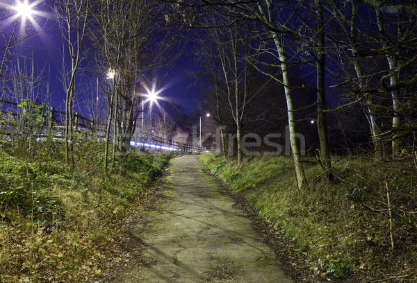 Unheimlich städtischen Ansicht Wald Straße einsamen Stock foto © chrisdorney