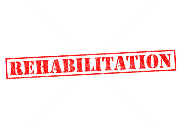 Rehabilitáció piros pecsét fehér orvosi fájdalom Stock fotó © chrisdorney