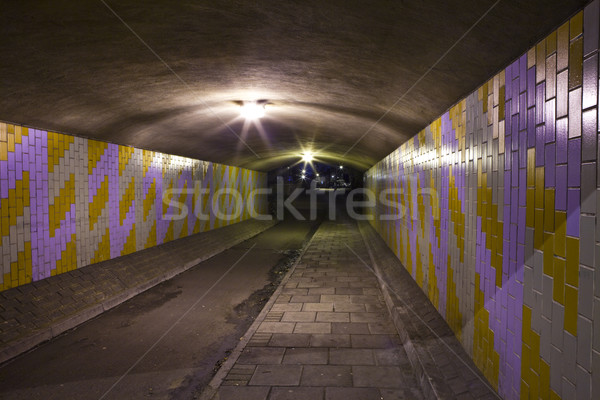 Városi alagút kilátás kísérteties utca magányos Stock fotó © chrisdorney