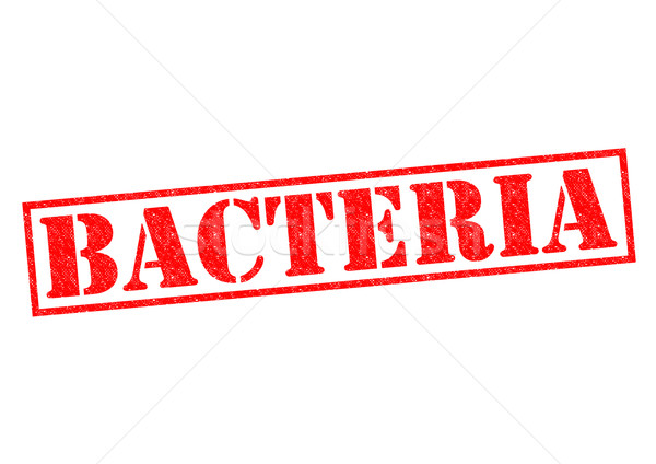 Baktériumok piros pecsét fehér kosz biztonság Stock fotó © chrisdorney