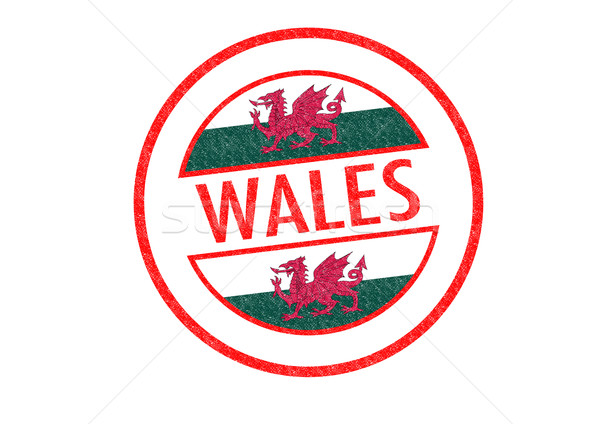 Gales blanco vacaciones botón pasaporte Foto stock © chrisdorney