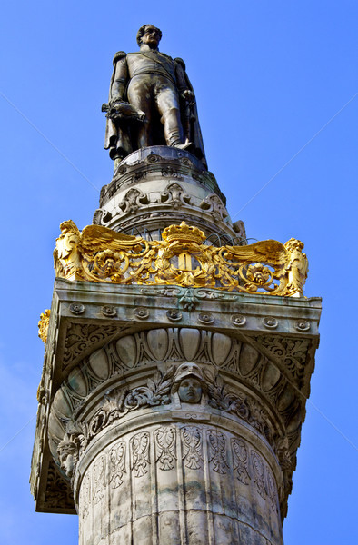 Rei estátua congresso coluna Bruxelas europa Foto stock © chrisdorney