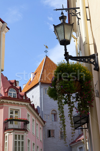 Stockfoto: Tallinn · bloemen · reizen · lamp · Windows · Europa
