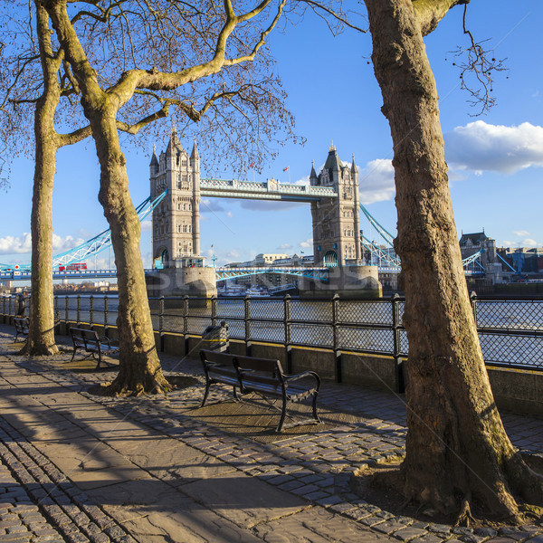 View of Tower Bridge from the Thames Path in London Stock photo © chrisdorney
