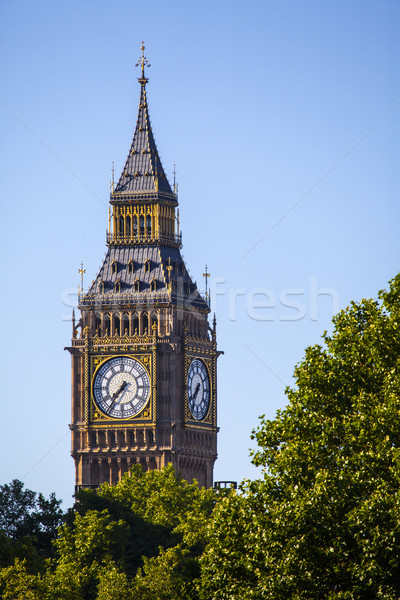 Big Ben westminster vue tour arbres Londres [[stock_photo]] © chrisdorney