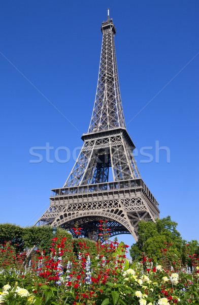 Eiffel Tower in Paris Stock photo © chrisdorney