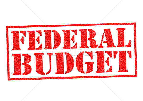 FEDERAL BUDGET Stock photo © chrisdorney