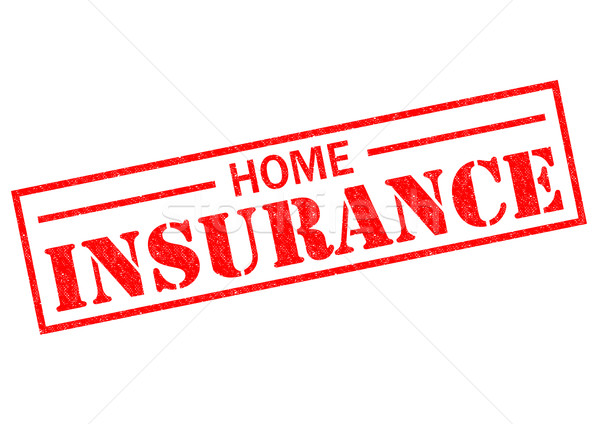 HOME INSURANCE Stock photo © chrisdorney