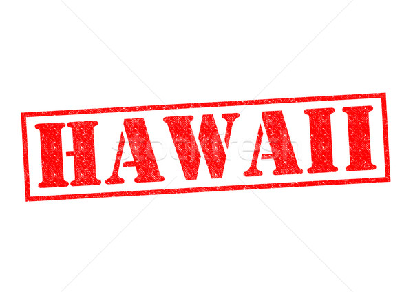Hawaii witte vlag eiland vakantie Stockfoto © chrisdorney
