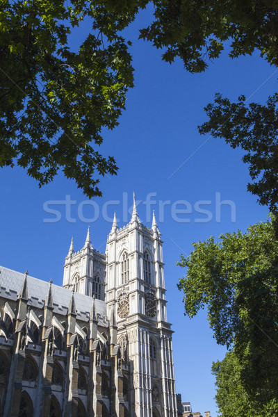 Westminster abbazia Londra bella chiesa viaggio Foto d'archivio © chrisdorney