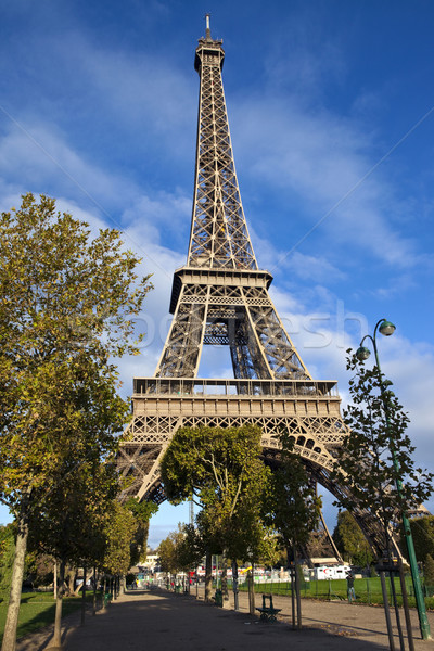 Eiffel Tower in Paris Stock photo © chrisdorney