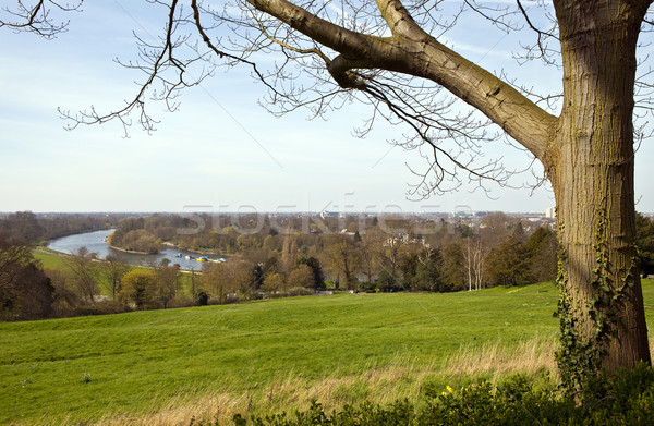 Richmond Upon Thames Stock photo © chrisdorney