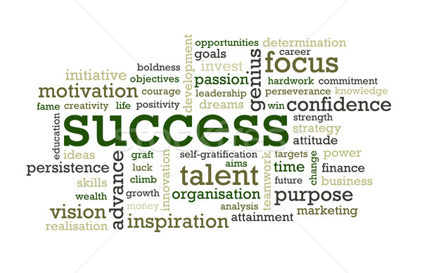 Success Words Stock photo © chrisdorney