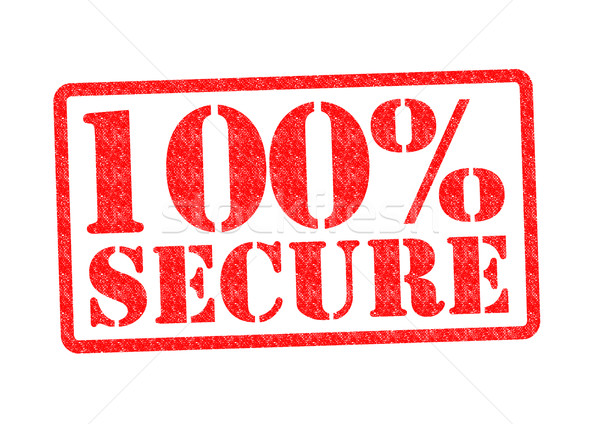 100% SECURE Stock photo © chrisdorney