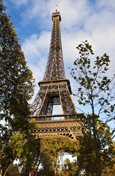 Eiffel Tower in Paris Stock photo © chrisdorney