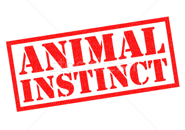 ANIMAL INSTINCT Rubber Stamp Stock photo © chrisdorney
