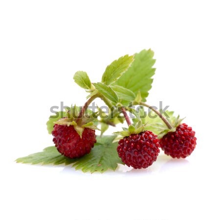 [[stock_photo]]: Fraises · blanche · sol · récolte