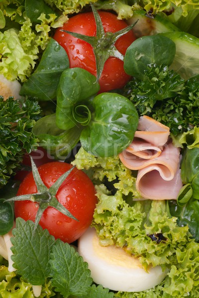 Stockfoto: Salade · vers · kaas · tomaat