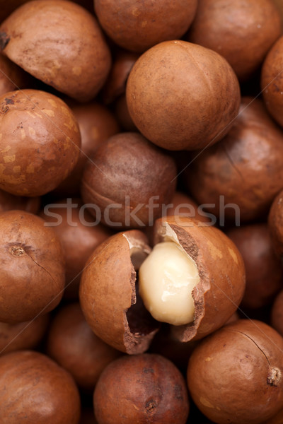 Macadamia nuts Stock photo © ChrisJung