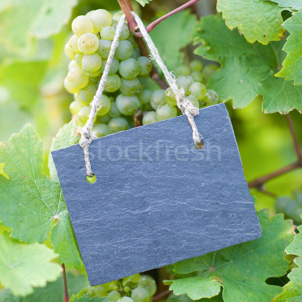 Vine, Blackboard Stock photo © ChrisJung