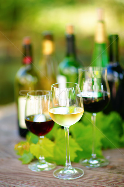 Degustação de vinhos vinícola vinho tinto Foto stock © ChrisJung