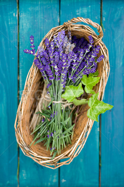 Lavendel legen Ernte Landwirtschaft Stock foto © ChrisJung