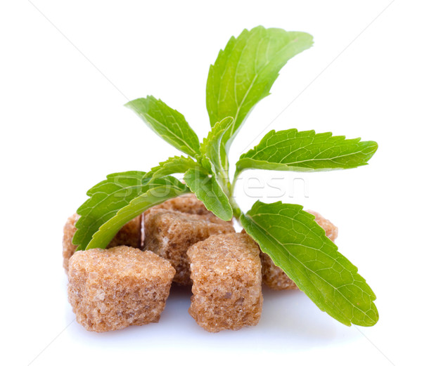Trópusi édes cukor gyógynövény táplálkozás organikus Stock fotó © ChrisJung