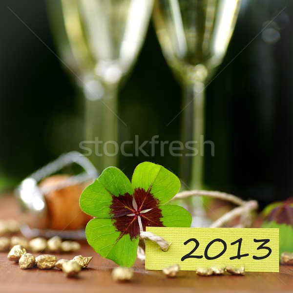 Four leafed clover  Stock photo © ChrisJung