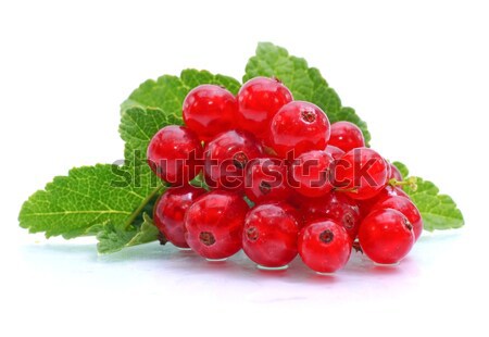 Red currant Stock photo © ChrisJung