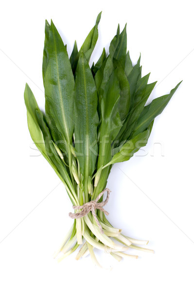 Stock photo: Wild garlic