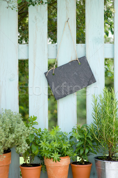 Zaun weiß leer Zeichen Stock foto © ChrisJung