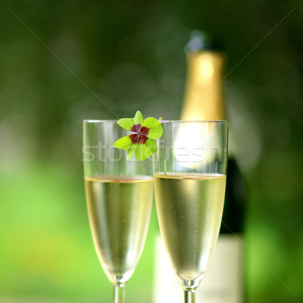 Szczęśliwy koniczyna wina Zdjęcia stock © ChrisJung
