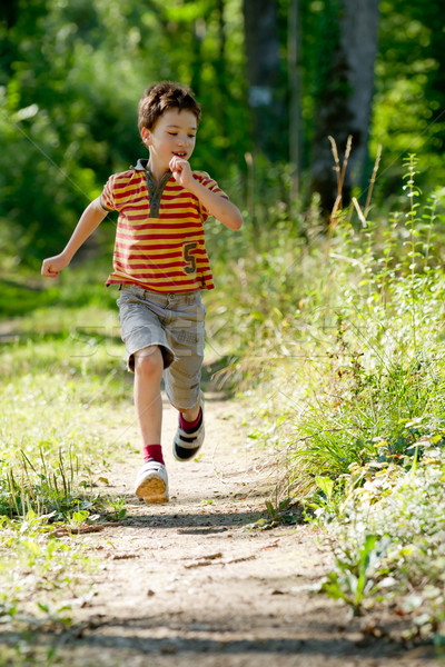 Esecuzione natura bambino divertimento velocità Foto d'archivio © chrisroll