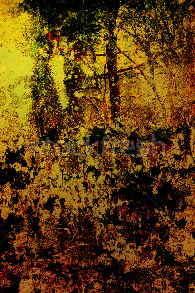 Grunge texture ışık boya cam arka plan toprak Stok fotoğraf © chrisroll