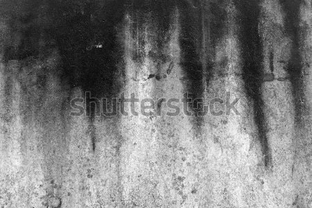 grunge wall texture Stock photo © chrisroll