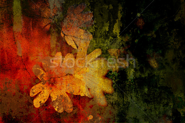 Flowers on grunge background Stock photo © chrisroll