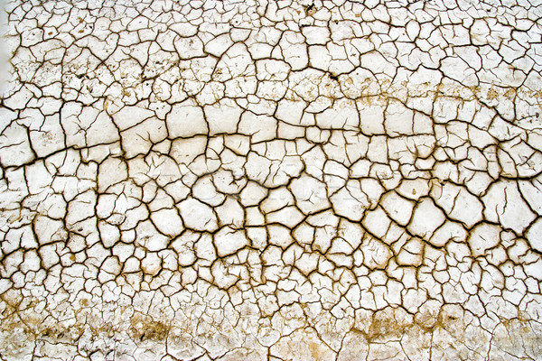 Dry Terrain Stock photo © chrisroll