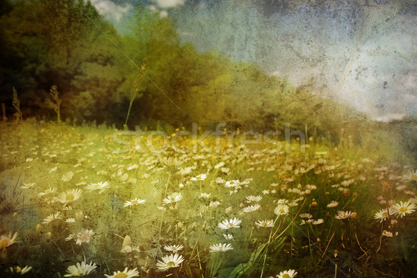 grunge background Stock photo © chrisroll