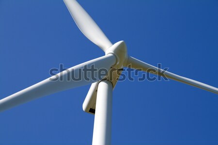 Turbina eolica cielo blu natura panorama mucca campo Foto d'archivio © chrisroll