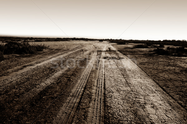 út sehol szépia tájkép sivatag fekete Stock fotó © chrisroll