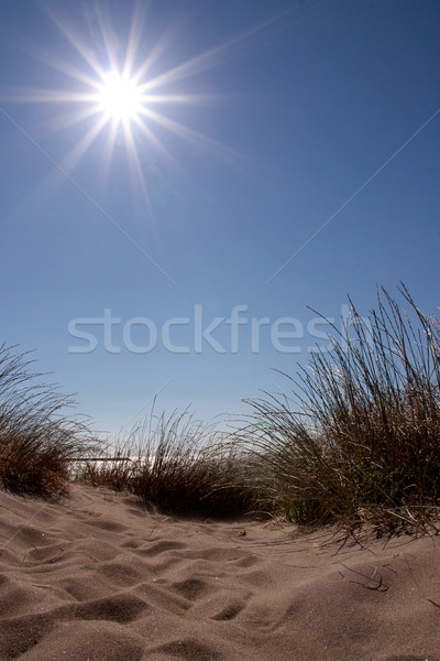 Strand landschap wolken gras zee oceaan Stockfoto © chrisroll