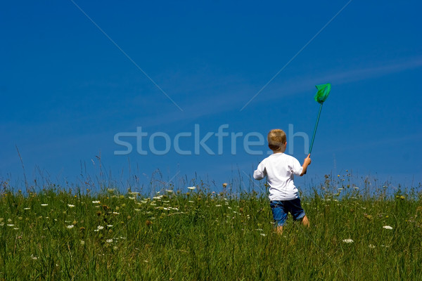 [[stock_photo]]: Papillon · chasseur · jeunes · ciel · bleu · herbe · paysage