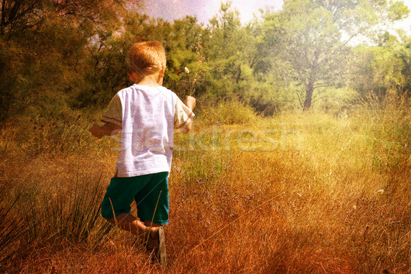 young child in nature Stock photo © chrisroll