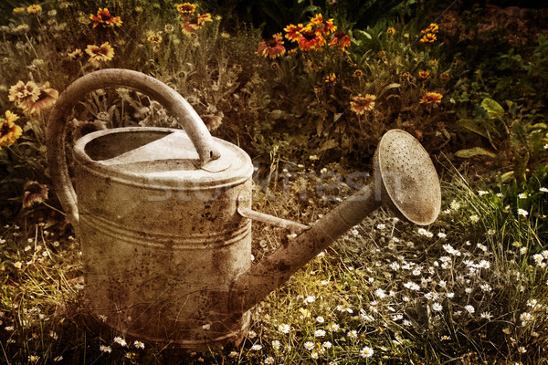 Grunge vintage foto water kan tuin Stockfoto © chrisroll