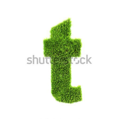 Stock photo: 3d grass letter isolated on white background - t