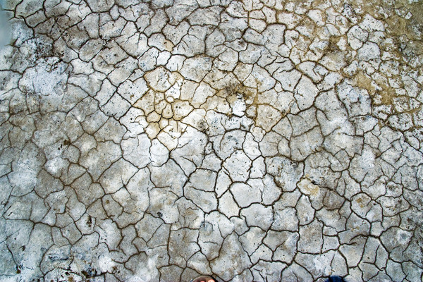 cracked texture Stock photo © chrisroll