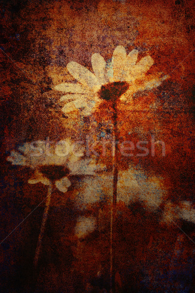 grunge flowers Stock photo © chrisroll