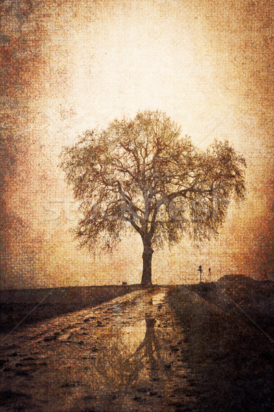 Jahrgang Bild Baum Wintersaison Wasser abstrakten Stock foto © chrisroll