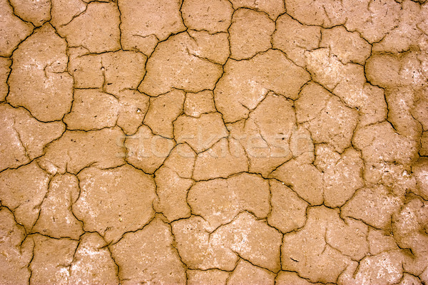 Dry ground Stock photo © chrisroll