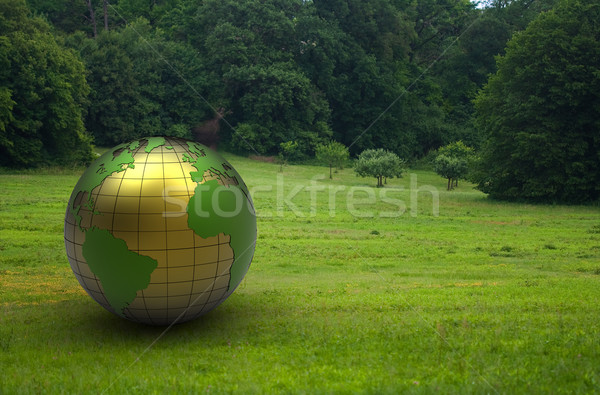 3d metal globe Stock photo © chrisroll